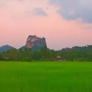 View Lodge Sigiriya